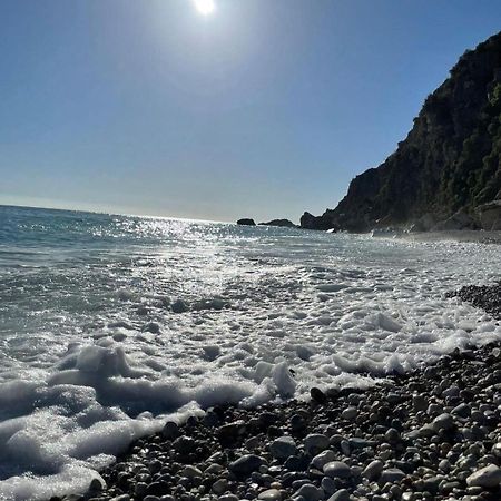 Apartments Villa Simonovic Petrovac المظهر الخارجي الصورة